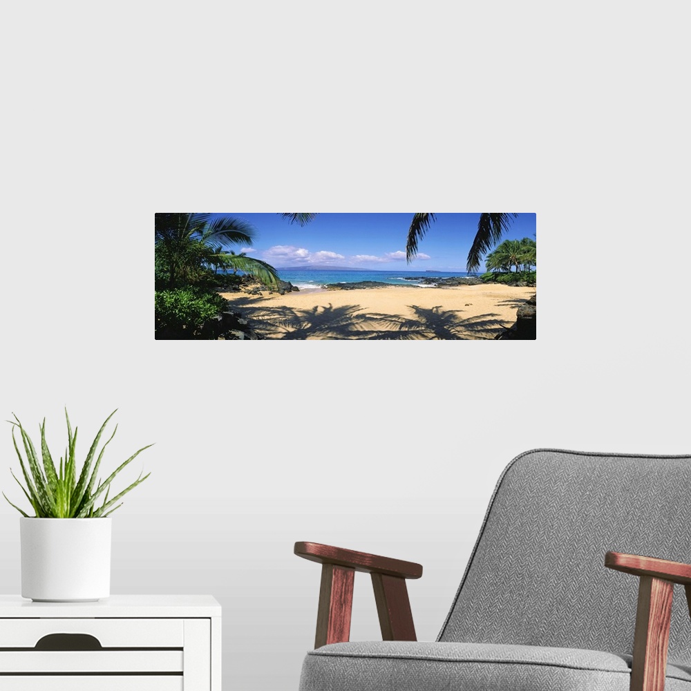 A modern room featuring Hawaii, Maui, Makena; Small Secluded Beach Palm Shadows On Sand
