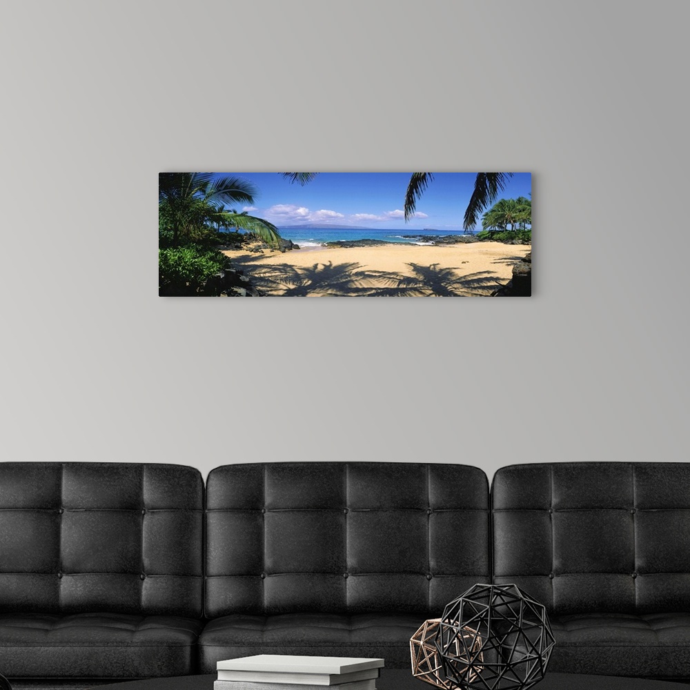 A modern room featuring Hawaii, Maui, Makena; Small Secluded Beach Palm Shadows On Sand