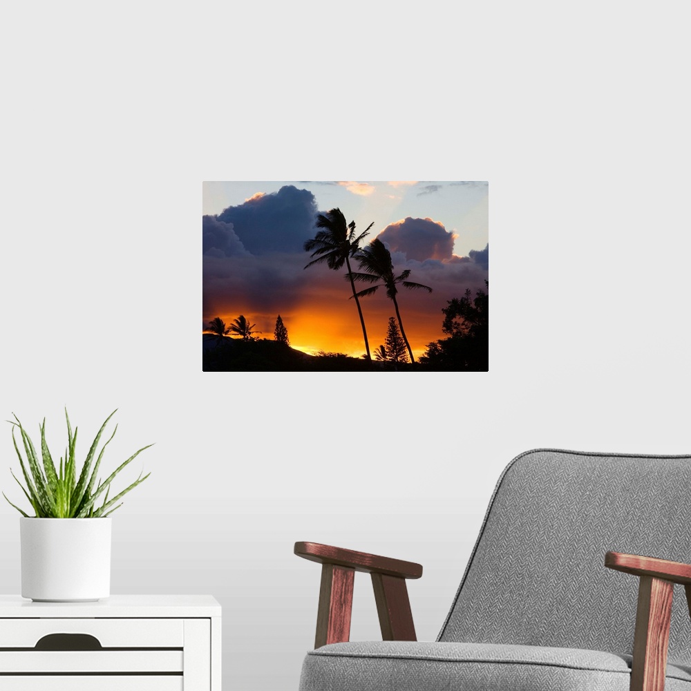 A modern room featuring Hawaii, Maui, North Shore, Palm Trees On A Hill, Puffy Clouds And Colorful Sunset