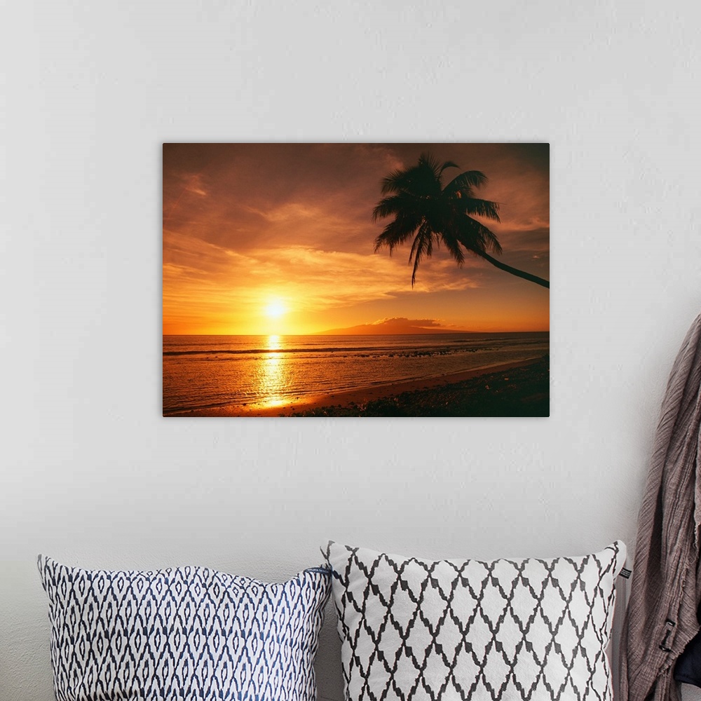 A bohemian room featuring Hawaii, Maui, Olowalu, Palm Tree Silhouette At Sunset, Lanai In The Distance