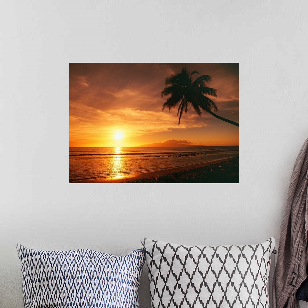 A bohemian room featuring Hawaii, Maui, Olowalu, Palm Tree Silhouette At Sunset, Lanai In The Distance
