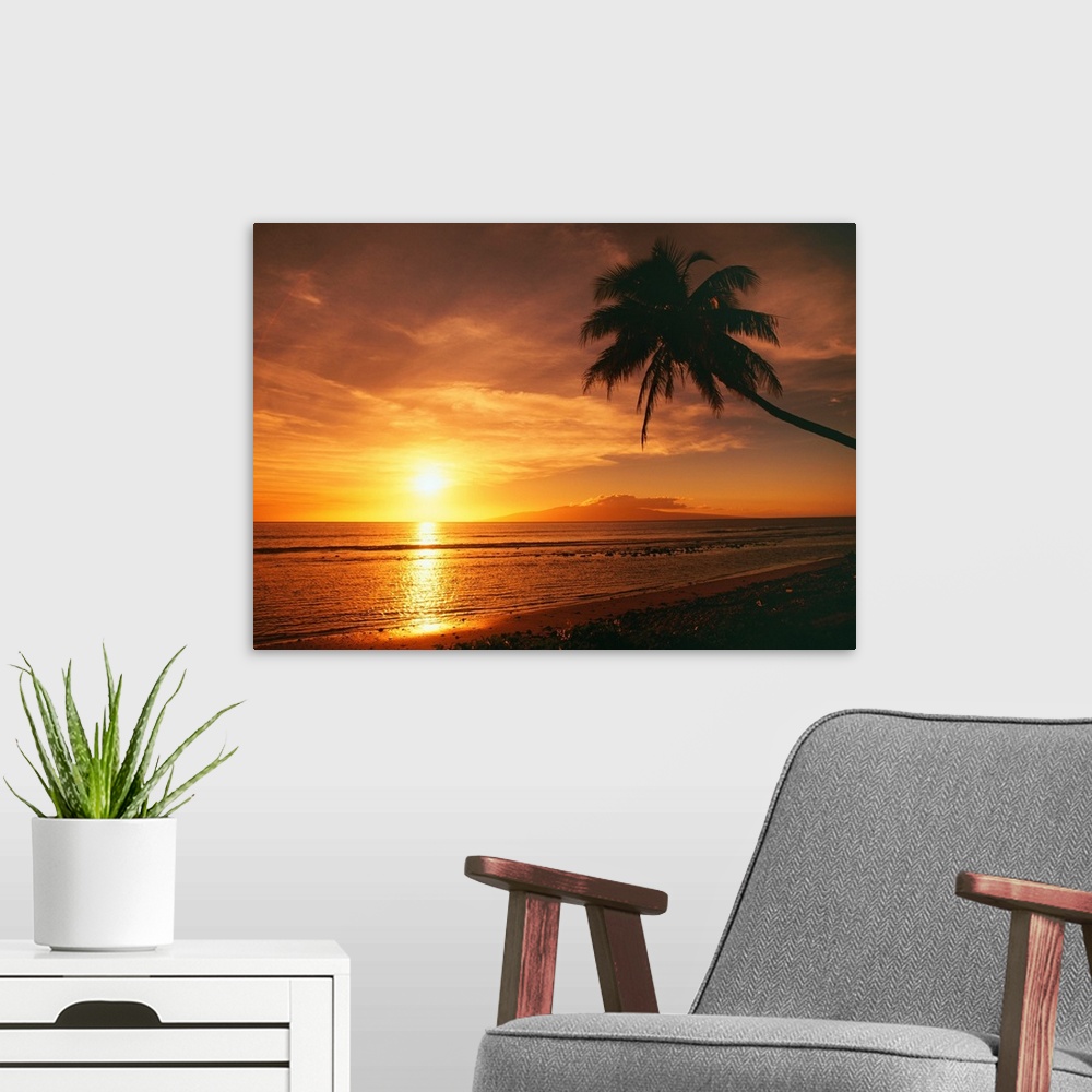 A modern room featuring Hawaii, Maui, Olowalu, Palm Tree Silhouette At Sunset, Lanai In The Distance