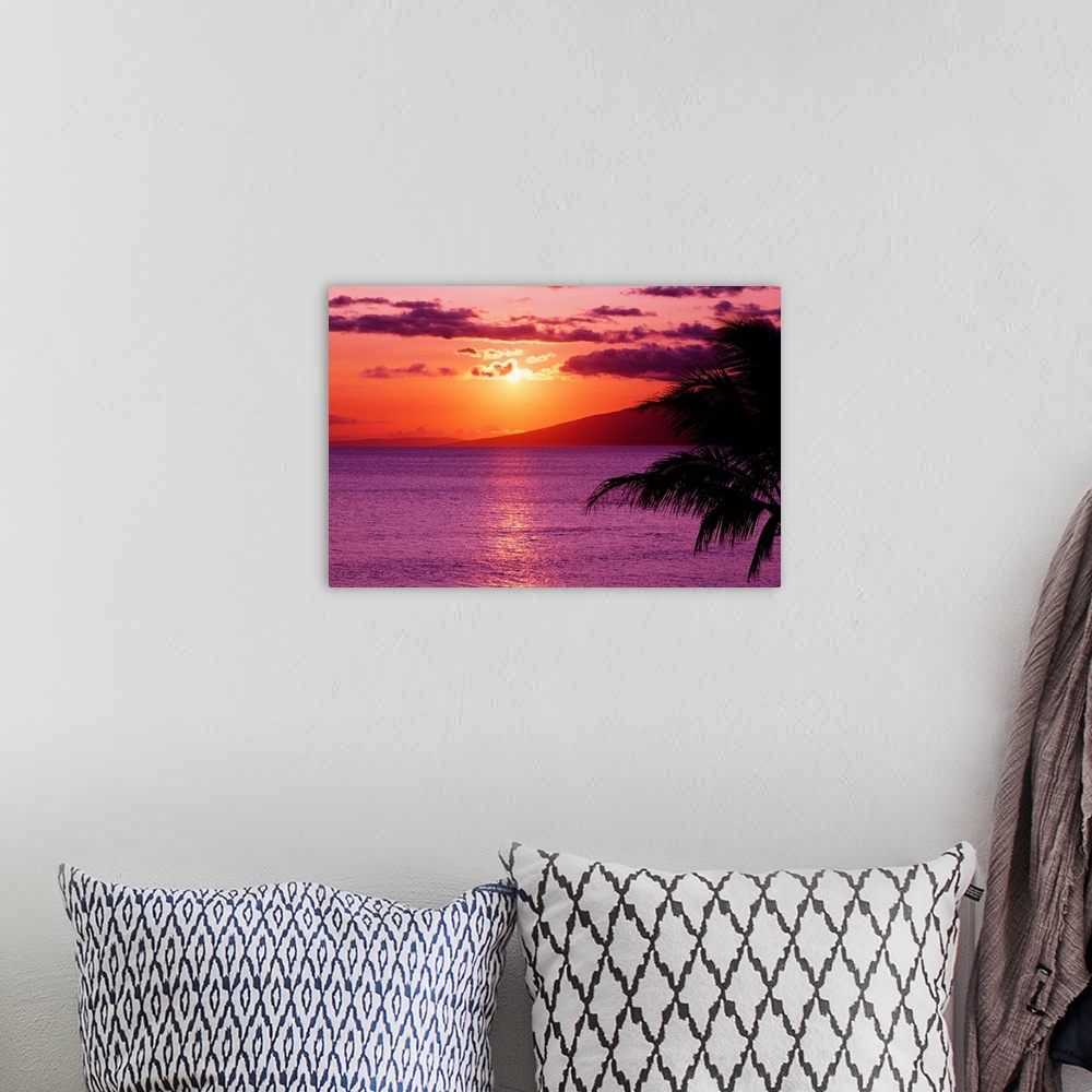 A bohemian room featuring Big canvas photo of a peaceful beach sunset with a silhouette of a palm tree in the foreground to...