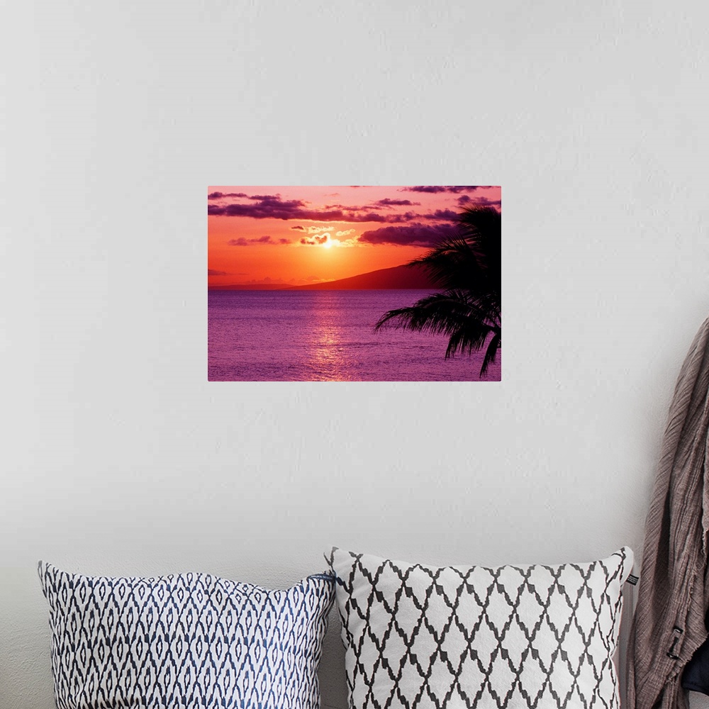 A bohemian room featuring Big canvas photo of a peaceful beach sunset with a silhouette of a palm tree in the foreground to...