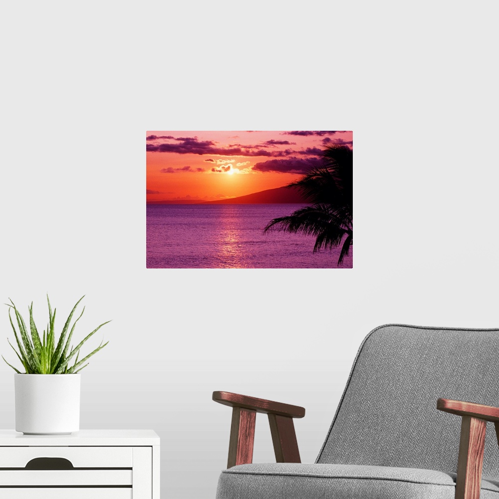 A modern room featuring Big canvas photo of a peaceful beach sunset with a silhouette of a palm tree in the foreground to...