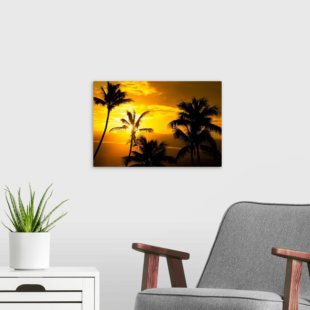 A modern room featuring Hawaii, Maui, View Of Palm Tree Tops, Orange Sunset In Background