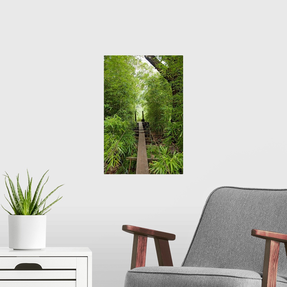 A modern room featuring Hawaii, Maui, Waihee, A swinging Bridge into a lush green forest