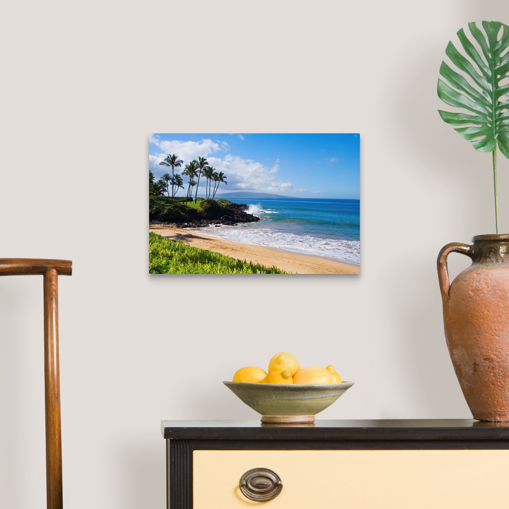 A traditional room featuring An idyllic photograph of the Hawaiian coast, with gently lapping water under a bright blue sky. T...