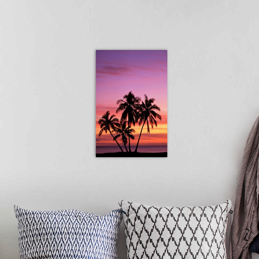 A bohemian room featuring Hawaii, Molokai, Cluster Of Palm Trees With Beautiful Sunset Background