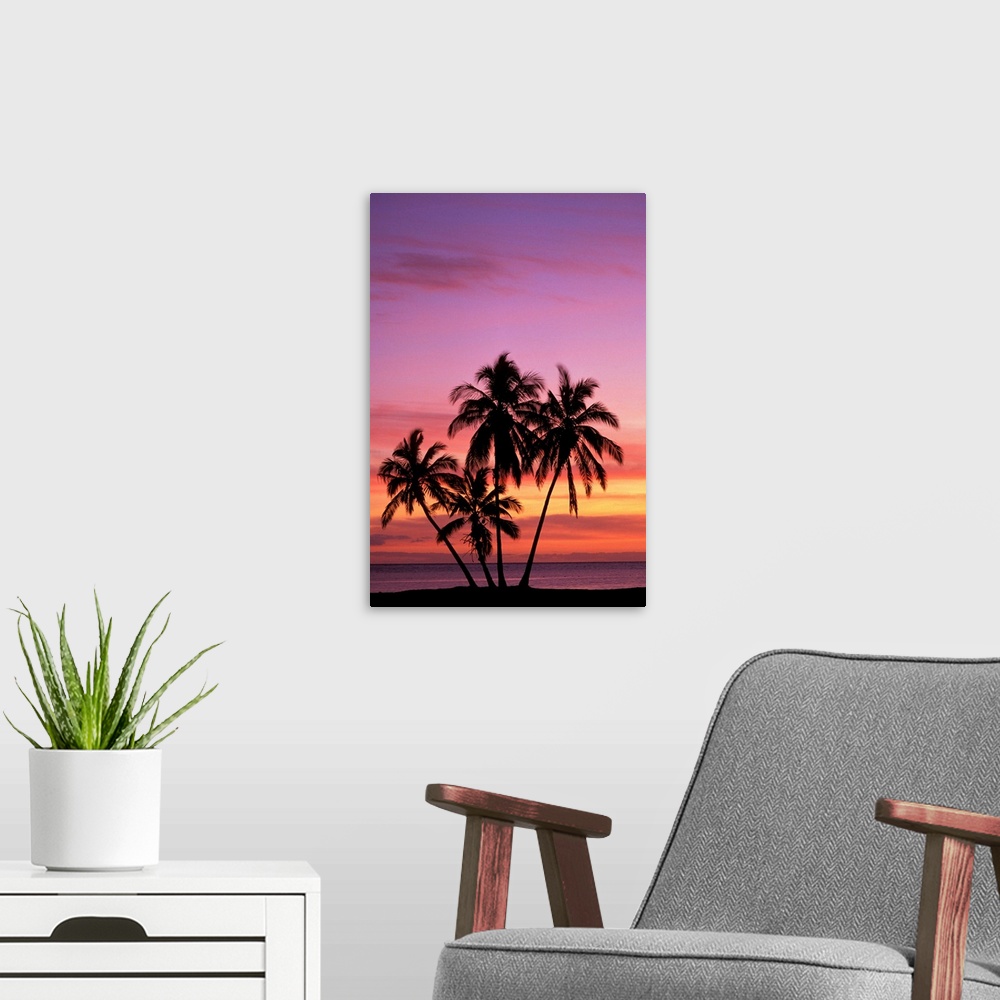 A modern room featuring Hawaii, Molokai, Cluster Of Palm Trees With Beautiful Sunset Background