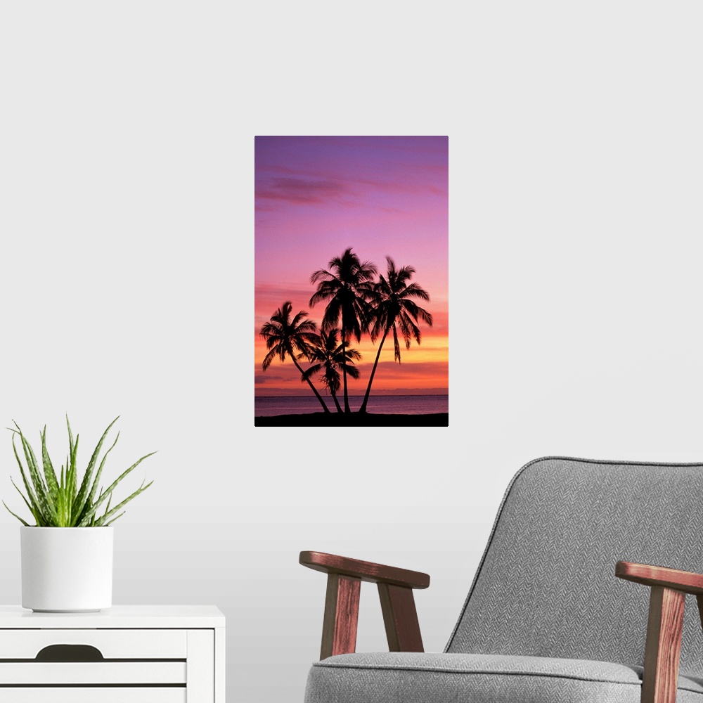 A modern room featuring Hawaii, Molokai, Cluster Of Palm Trees With Beautiful Sunset Background