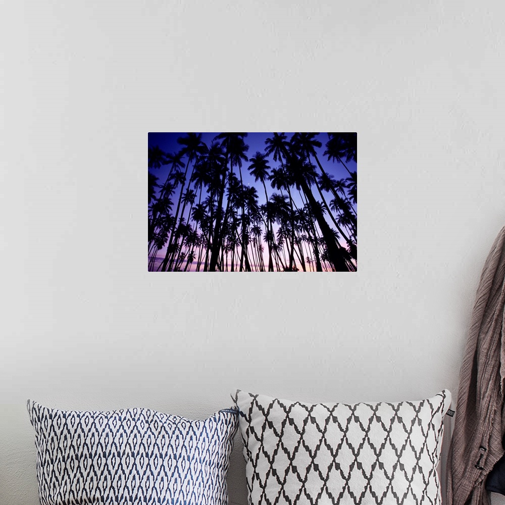A bohemian room featuring Hawaii, Molokai, Palm Grove At Sunset