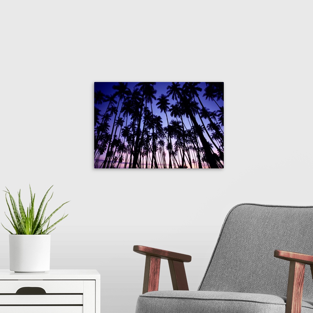 A modern room featuring Hawaii, Molokai, Palm Grove At Sunset