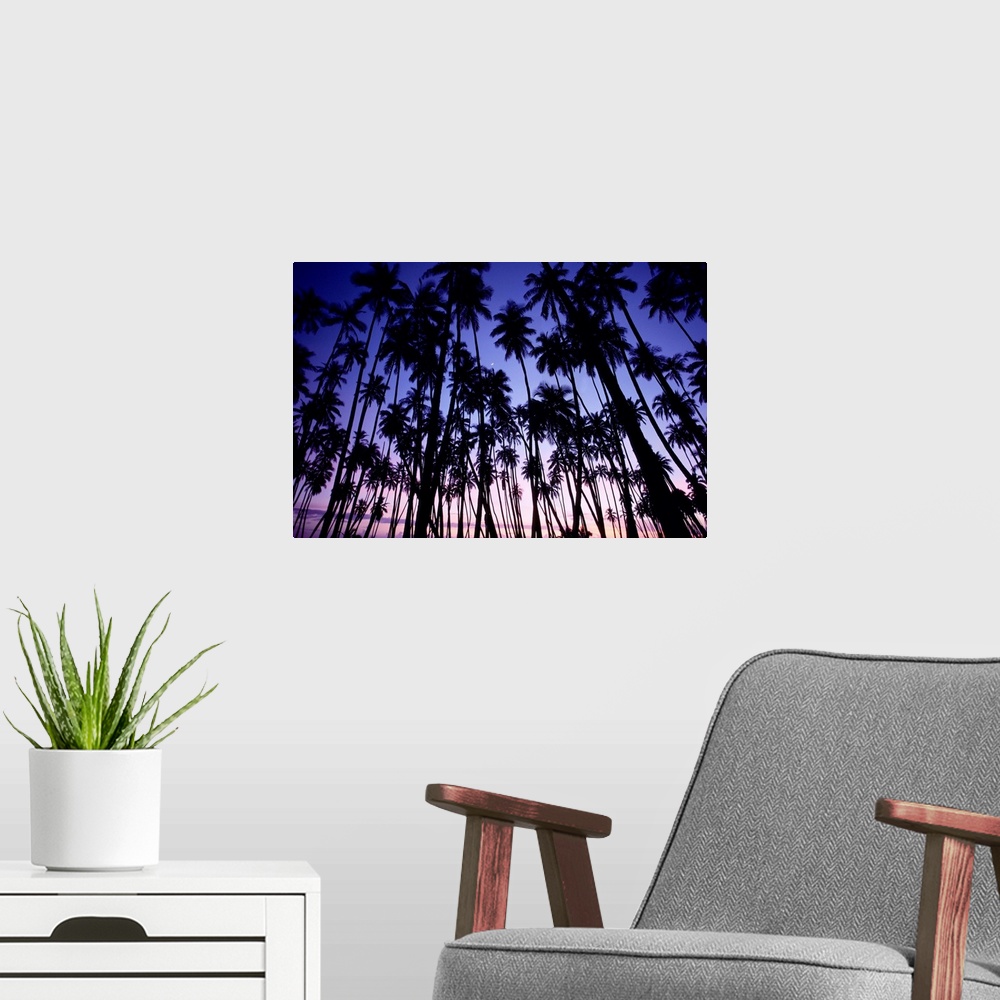 A modern room featuring Hawaii, Molokai, Palm Grove At Sunset