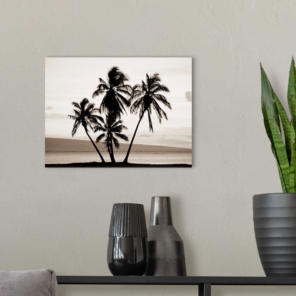 A modern room featuring Hawaii, Molokai, Silhouetted Palms Against Sunset, Lanai In Background