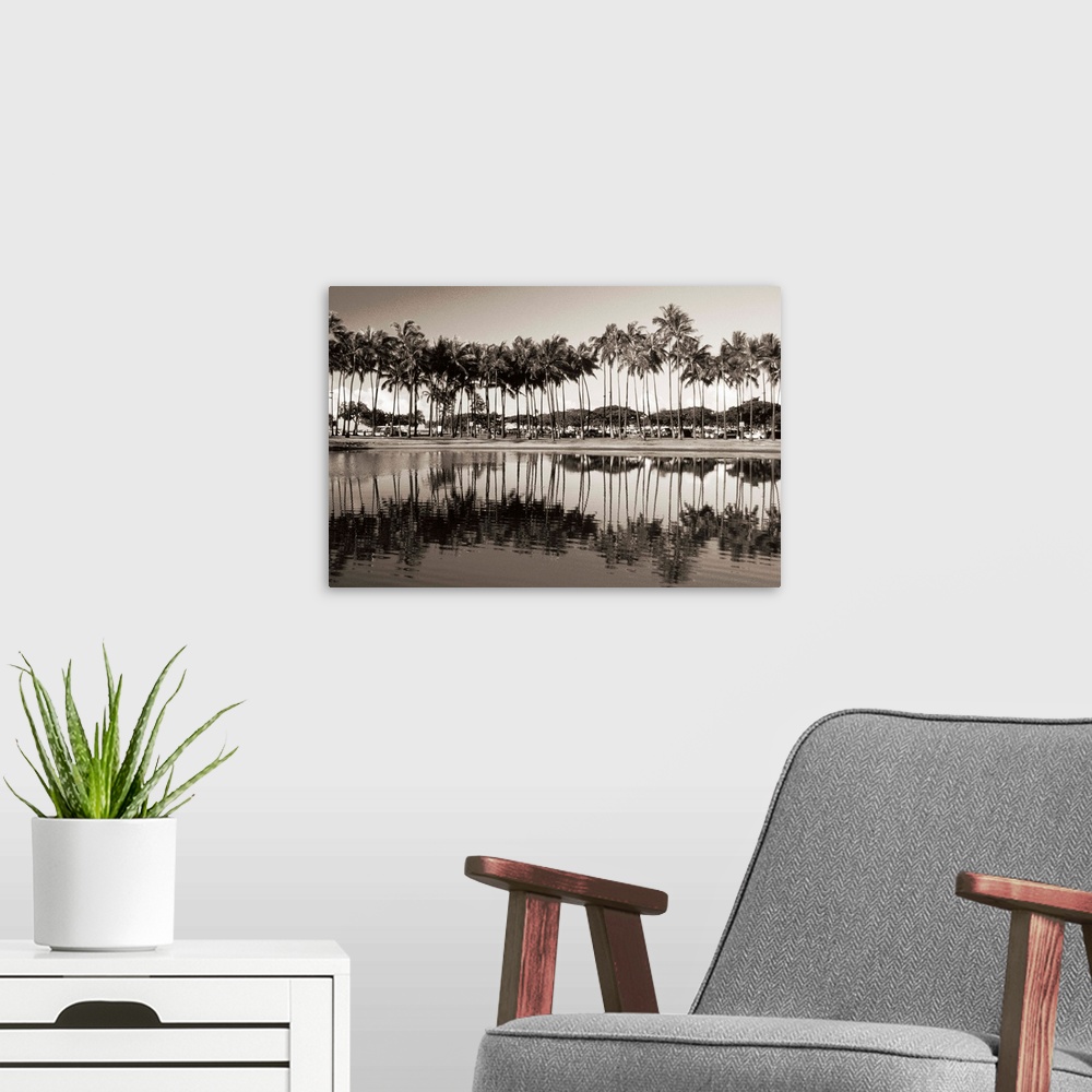 A modern room featuring Hawaii, Oahu, Ala Moana Beach Park, Line Of Palm Trees And Reflections In Pond