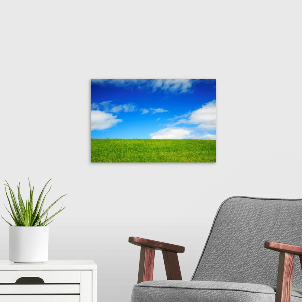 A modern room featuring Hawaii, Oahu, Beautiful Landscape Of Green Grass And A Blue Sky