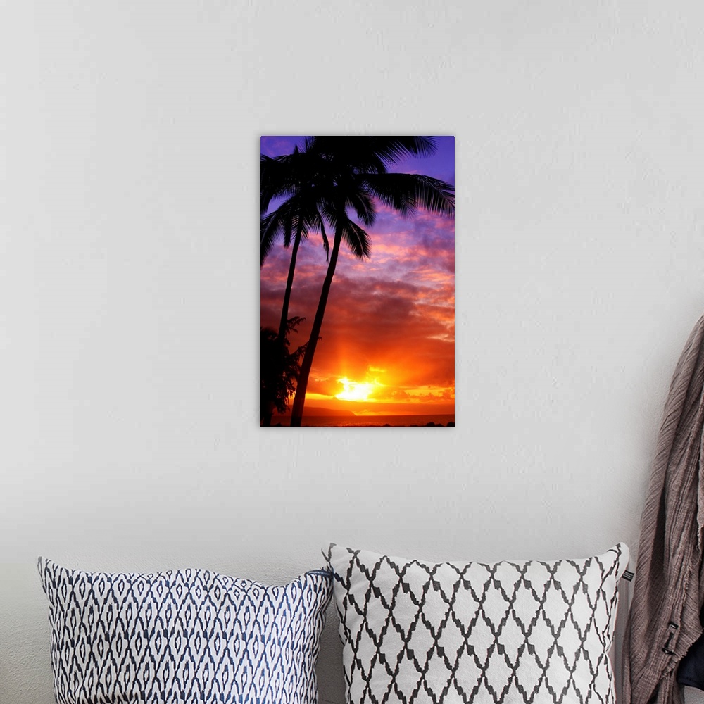 A bohemian room featuring Tall wall docor of silhouetted palm trees against a colorful sunset.