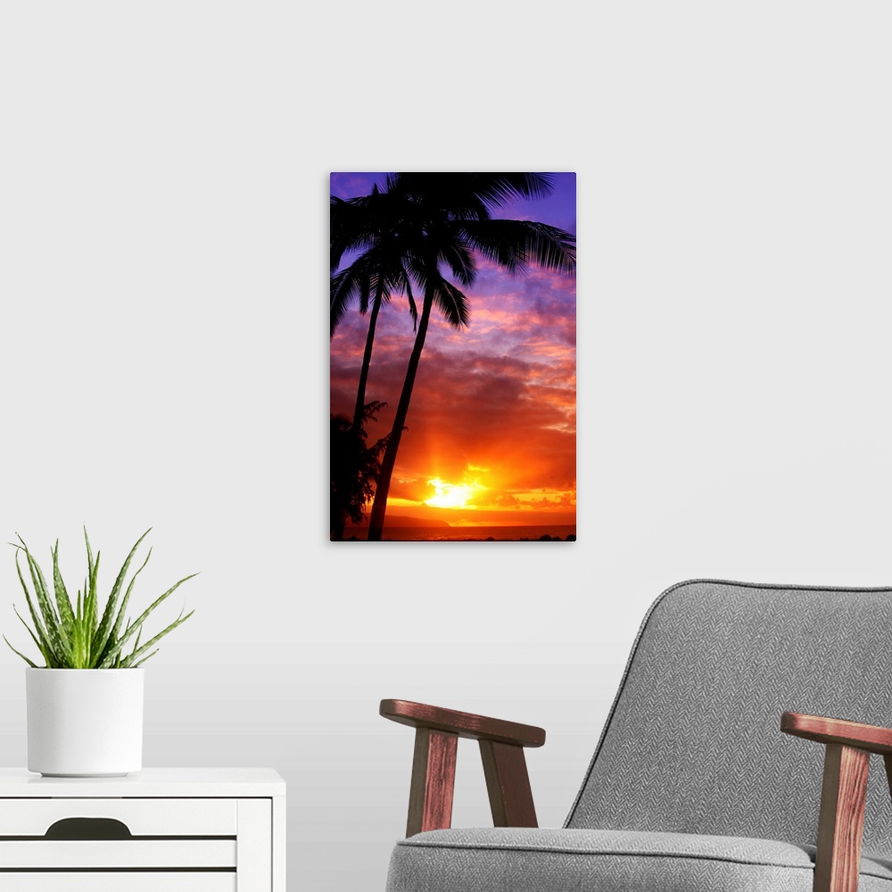 A modern room featuring Tall wall docor of silhouetted palm trees against a colorful sunset.