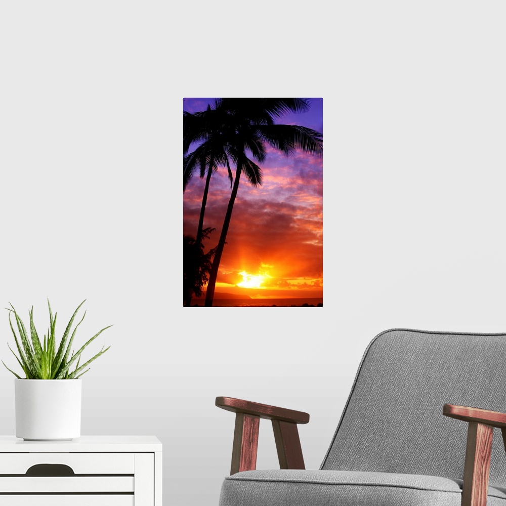 A modern room featuring Tall wall docor of silhouetted palm trees against a colorful sunset.