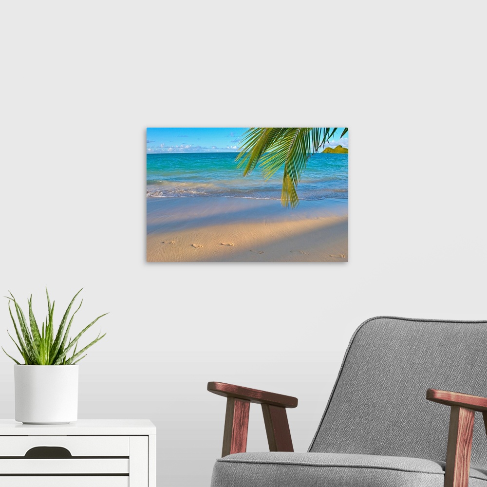 A modern room featuring Panoramic photograph of shoreline with footprints in the sand.  There is a grass covered mountain...