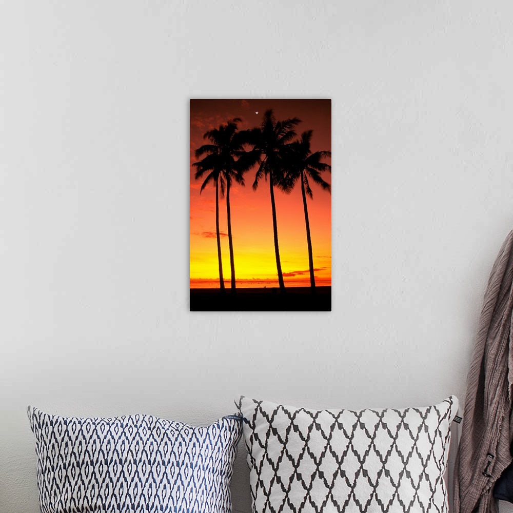 A bohemian room featuring Hawaii, Oahu, Honolulu, Ala Moana Beach Park, Palm Trees Silhouetted At Sunset