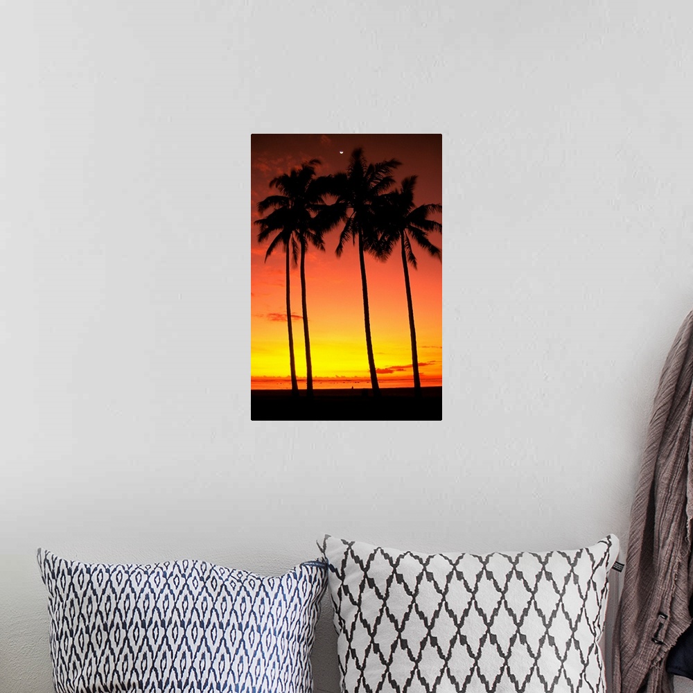 A bohemian room featuring Hawaii, Oahu, Honolulu, Ala Moana Beach Park, Palm Trees Silhouetted At Sunset