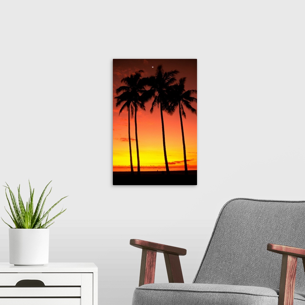 A modern room featuring Hawaii, Oahu, Honolulu, Ala Moana Beach Park, Palm Trees Silhouetted At Sunset