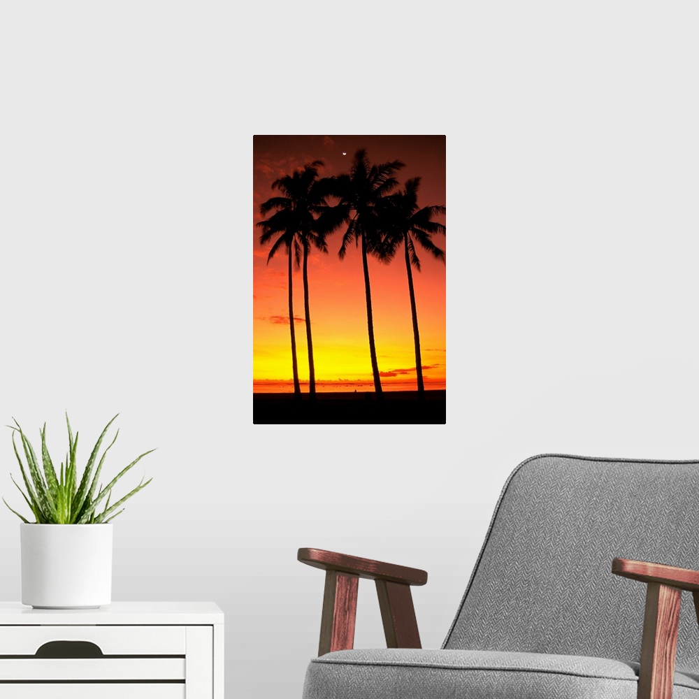 A modern room featuring Hawaii, Oahu, Honolulu, Ala Moana Beach Park, Palm Trees Silhouetted At Sunset