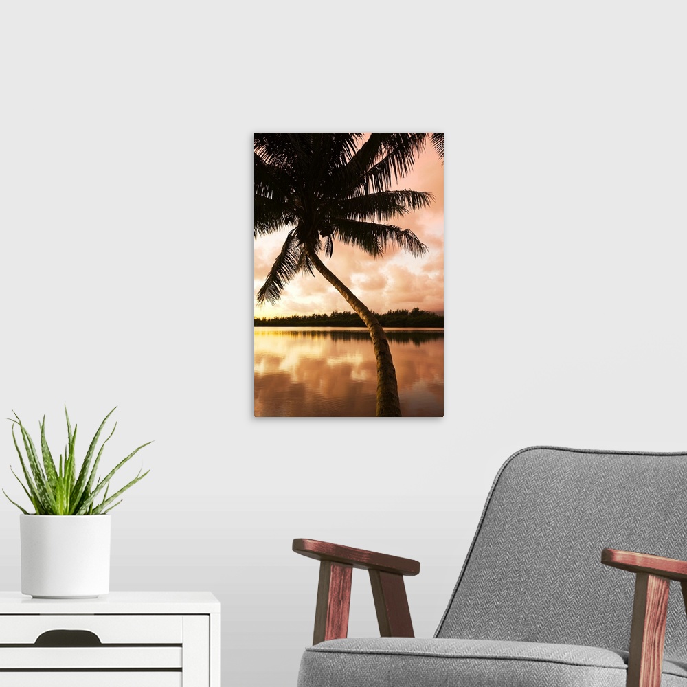 A modern room featuring Hawaii, Oahu, Kualoa Ranch, Palm Tree At Sunrise, Sky Reflecting On Water