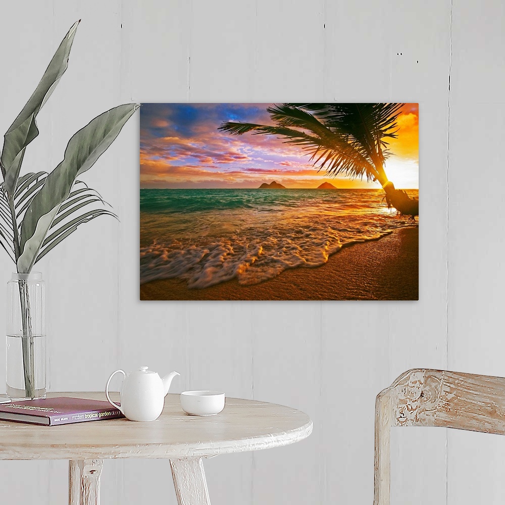 A farmhouse room featuring Horizontal, photographic wall hanging of a palm tree swaying over the shoreline of Lanikai Beach,...