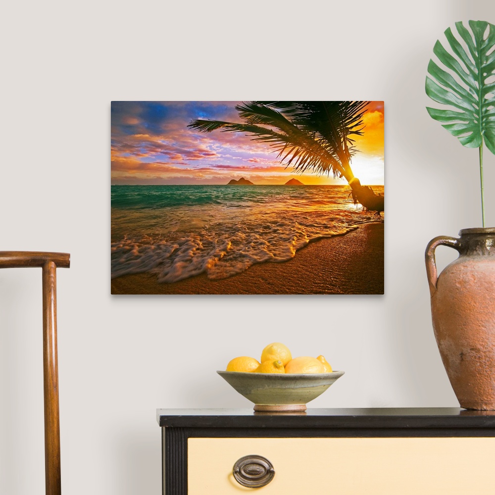 A traditional room featuring Horizontal, photographic wall hanging of a palm tree swaying over the shoreline of Lanikai Beach,...