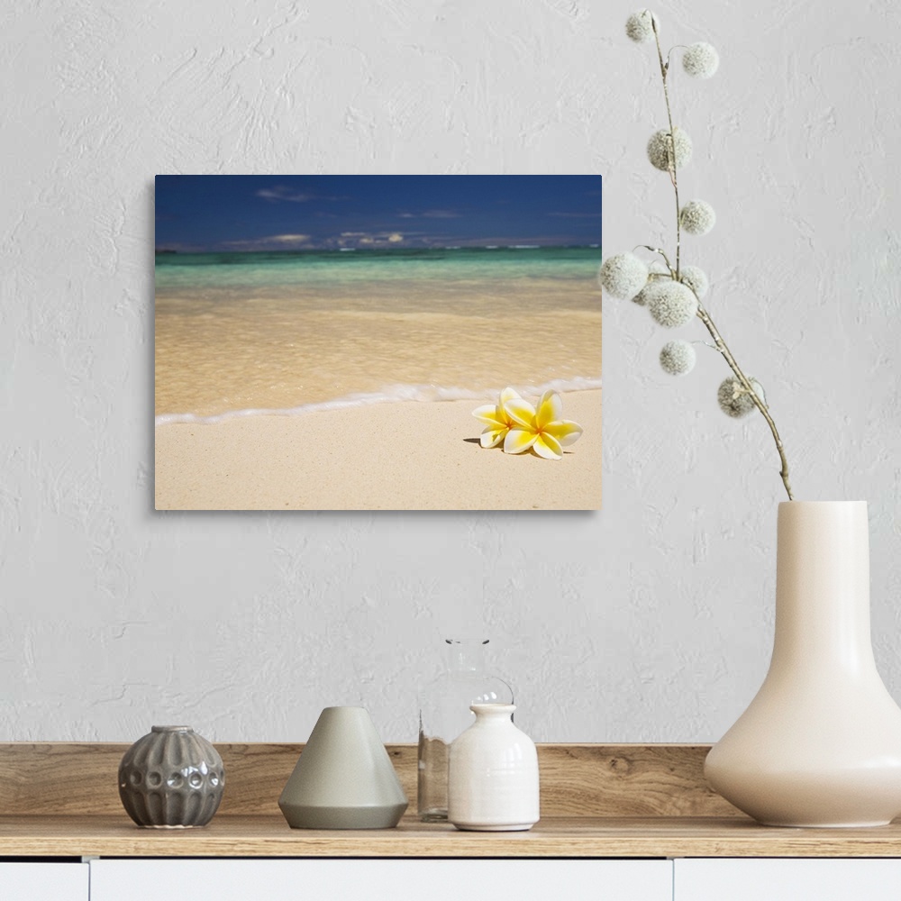 A farmhouse room featuring Big canvas photo of two tropical flowers laying on a white sand beach with an ocean washing ashore.