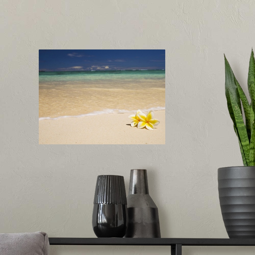A modern room featuring Big canvas photo of two tropical flowers laying on a white sand beach with an ocean washing ashore.