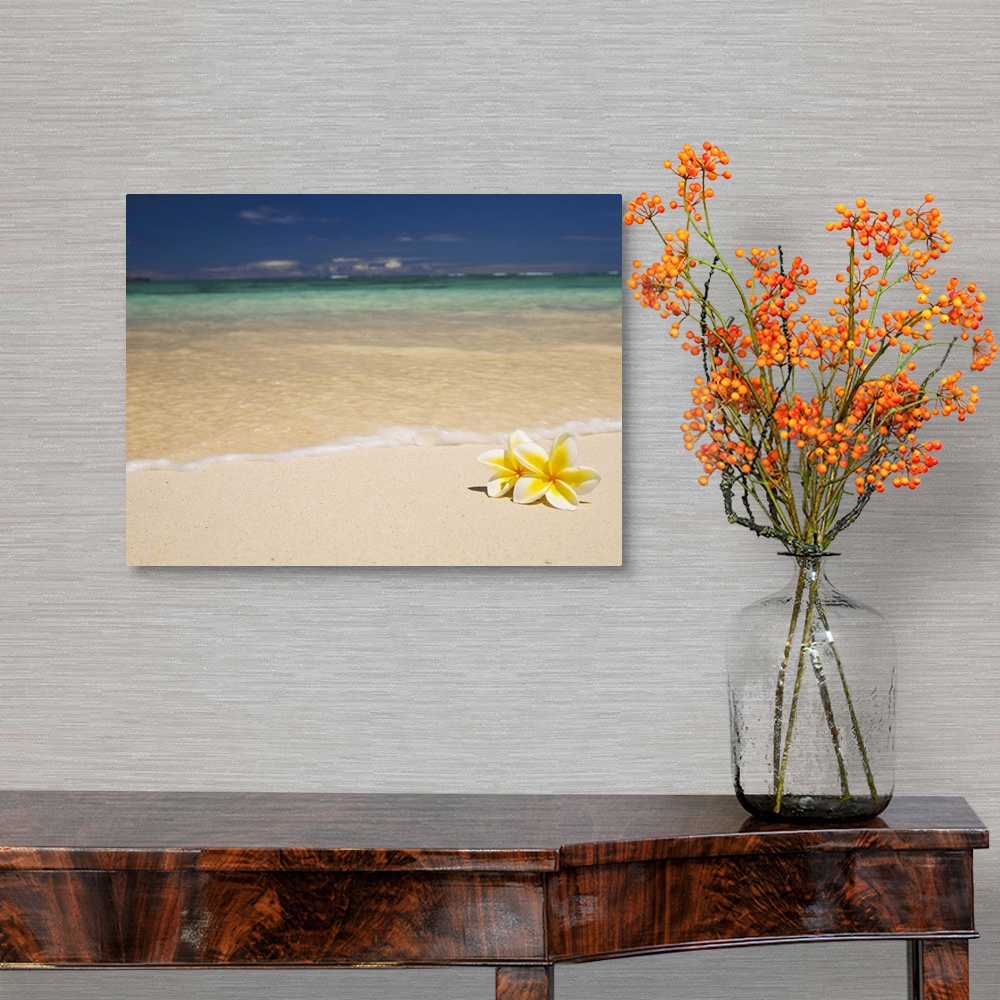 A traditional room featuring Big canvas photo of two tropical flowers laying on a white sand beach with an ocean washing ashore.