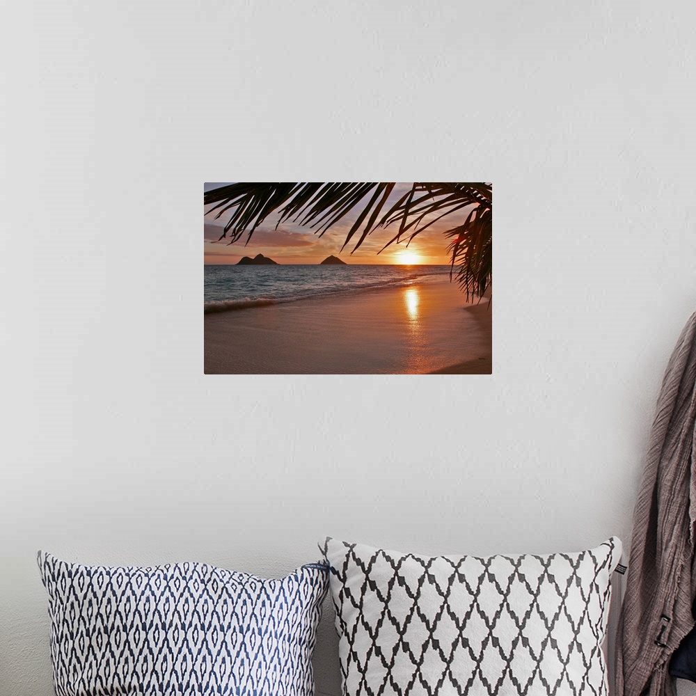 A bohemian room featuring Palm fronts frame this photograph of waves washing on the shore and the sun setting on the horizo...