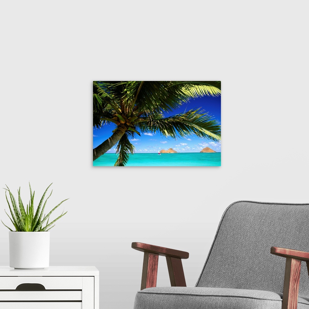 A modern room featuring Hawaii, Oahu, Lanikai, Palm Tree Foreground