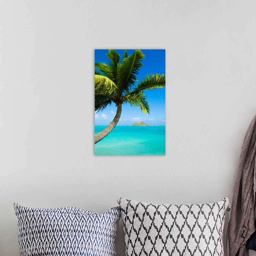 A bohemian room featuring Hawaii, Oahu, Lanikai, Palm Tree Over Blue Ocean