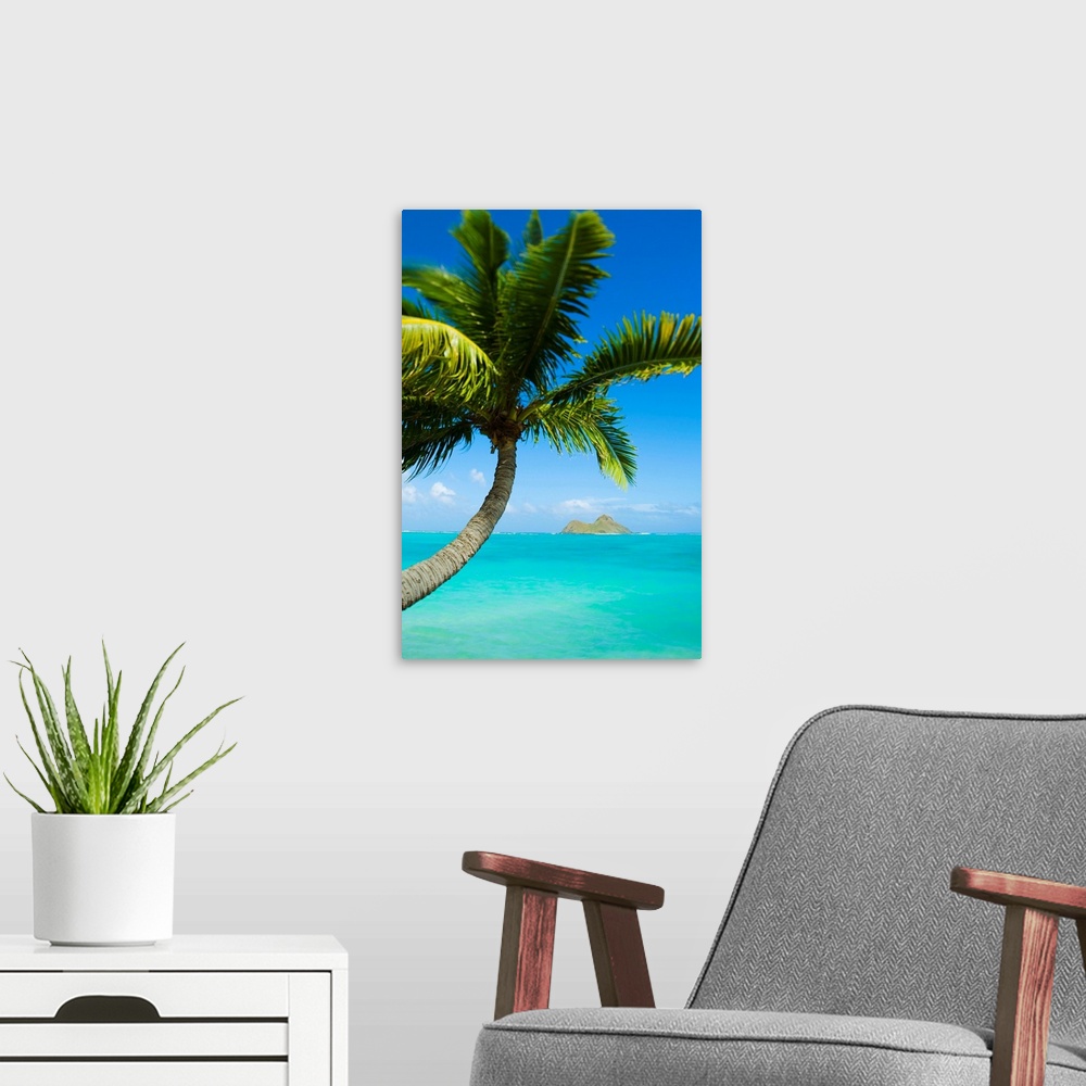 A modern room featuring Hawaii, Oahu, Lanikai, Palm Tree Over Blue Ocean
