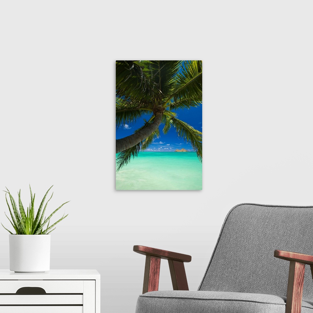 A modern room featuring Hawaii, Oahu, Lanikai, Palm Tree Over Turquoise Ocean, Na Mokulua In The Distance