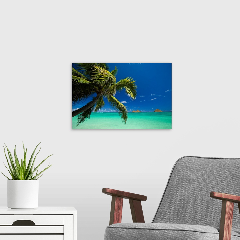 A modern room featuring Hawaii, Oahu, Lanikai, Palm Tree Over Turquoise Ocean, Na Mokulua In The Distance