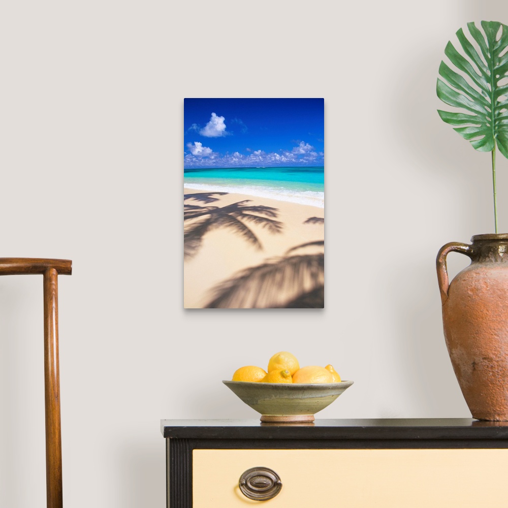 A traditional room featuring Hawaii, Oahu, Lanikai, Tropical Beach Scene With Palm Shadow On Sand