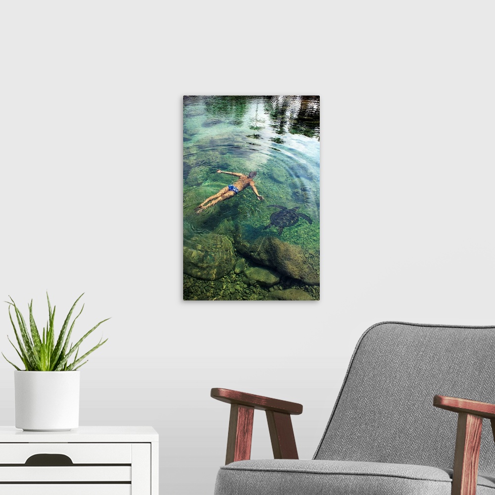 A modern room featuring Hawaii, Oahu, Man And Hawaiian Sea Turtle Swimming Side By Side In The Ocean Reef