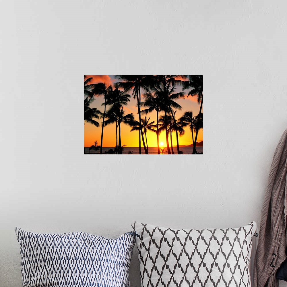 A bohemian room featuring The sun peeks through the palm trees as it sits inches above the horizon creating a firey sky lig...