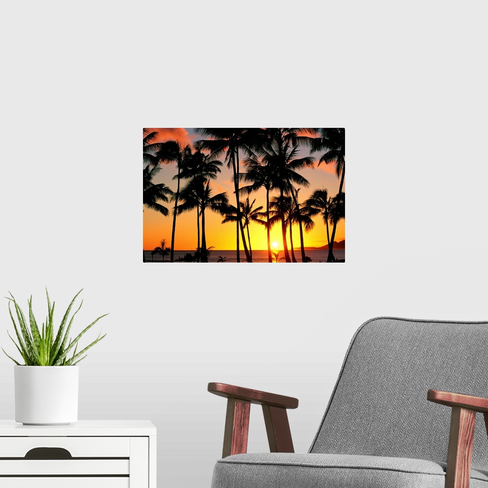 A modern room featuring The sun peeks through the palm trees as it sits inches above the horizon creating a firey sky lig...