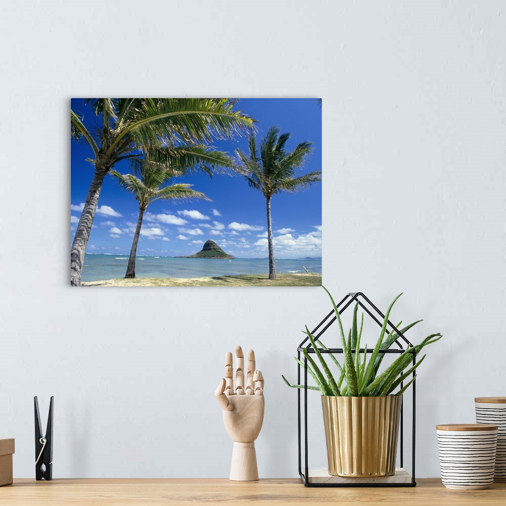 A bohemian room featuring Hawaii, Oahu, Mokoli'i Island And Palm Trees