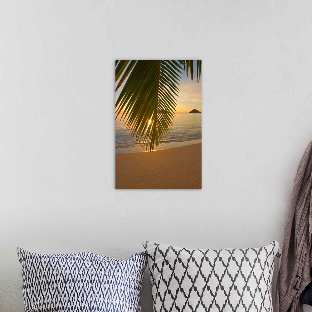 A bohemian room featuring Vertical photograph of a palm frond hanging low on a beach and partially obscuring the view of th...