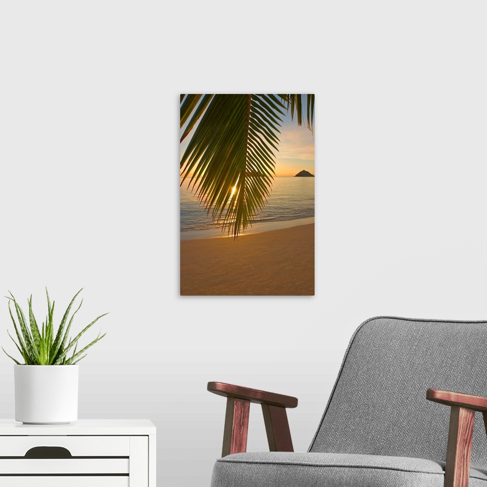 A modern room featuring Vertical photograph of a palm frond hanging low on a beach and partially obscuring the view of th...