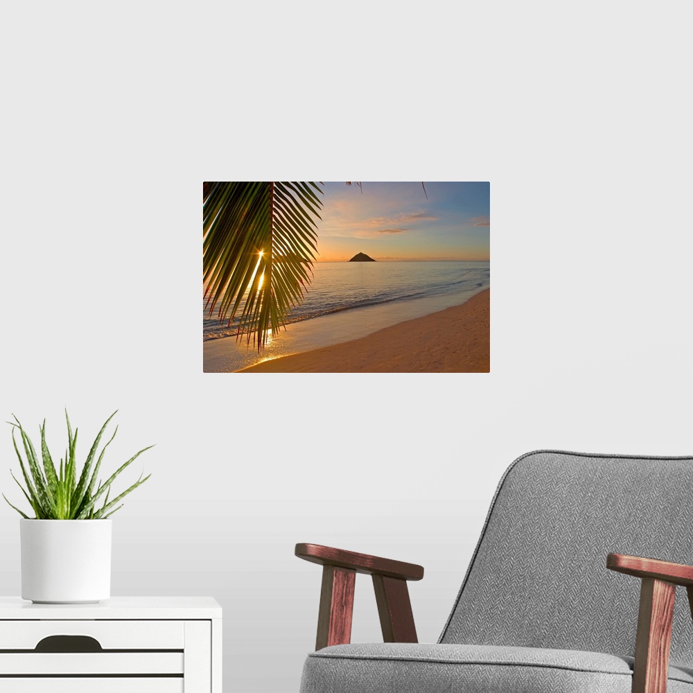 A modern room featuring Photograph of beach at dawn with mountain silhouettes in distance.  There is a single palm tree l...