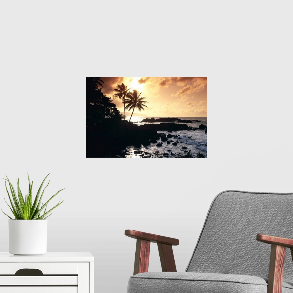 A modern room featuring Hawaii, Oahu, North Shore, Rocky Shoreline With Palms Silhouetted At Sunset